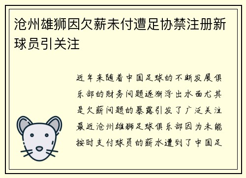 沧州雄狮因欠薪未付遭足协禁注册新球员引关注